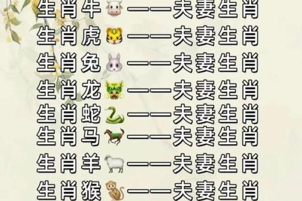 男属鸡女属蛇的婚姻配对是否真的合适长久？