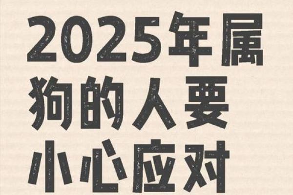 2025年属狗人每月运程完整版：每月得把眼睛擦亮了及开运指南