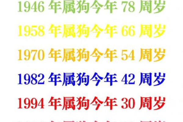 属狗的人在2025年的虚岁和周岁分别是多少，如何区分？