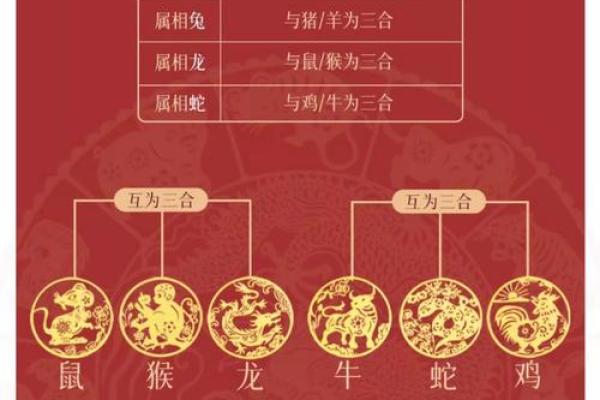 2025年属龙人本命年运势如何，有哪些需要注意的禁忌和化解方法
