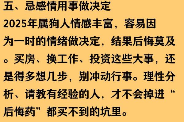 属狗的人2025年运势详解及每月运程完整版