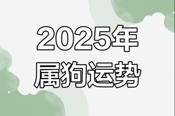 属狗的人2025年运势详解及每月运程完整版
