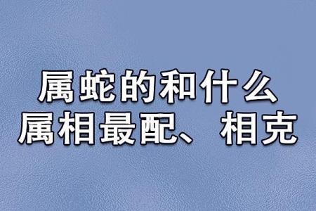 男属鸡女属蛇的婚姻配对是否真的合适长久？