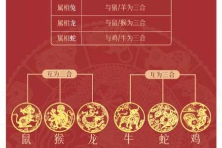 2025年属龙人本命年运势如何，有哪些需要注意的禁忌和化解方法