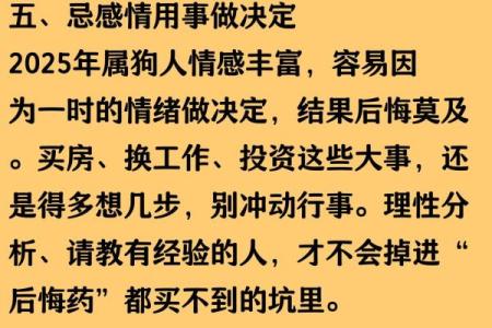 属狗的人2025年运势详解及每月运程完整版
