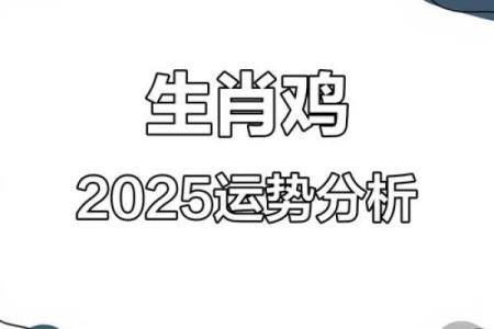 2025年属鸡人每月的感情运势和健康运需要注意哪些方面？