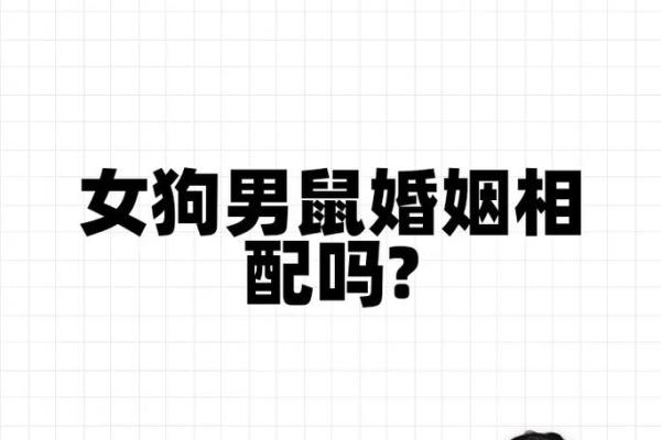 属狗的人和属狗的人结婚在性格上是否真的合适呢？