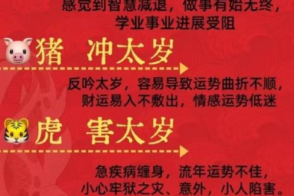 2025年鸡年本命年如何化解太岁及开运方法大全