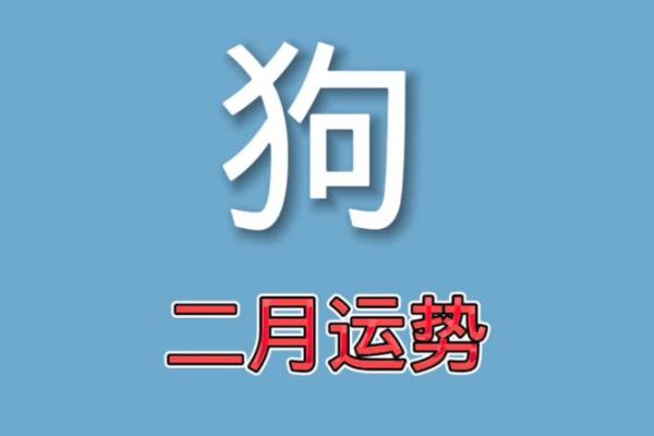 2006年属狗的人学业运势如何，未来考试运怎样