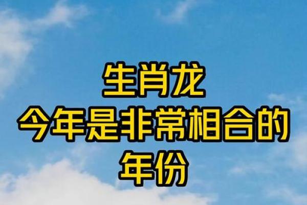 属龙的人今年具体多少岁，不同年份年龄查询指南
