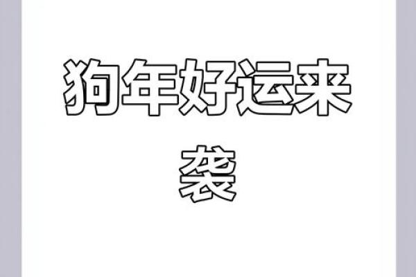 2025年属狗的今年运势如何,不同年龄段的财运和健康运详解 2025年属狗的今年运势如何,不同年龄段的财运和健康运详解