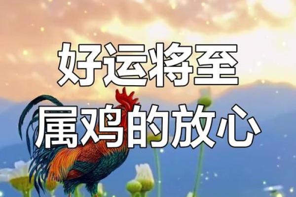 1969年出生属鸡的人今年财运和健康运势如何查询？