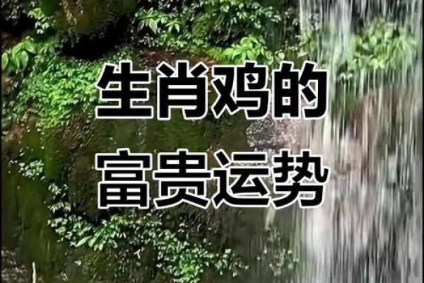 属鸡人2025年财运运势详解，哪几个月财运最好？