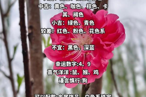 五行穿衣2021年12月6日第一星座网 今日五行幸运色穿衣搭配