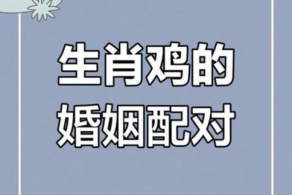 属相鸡和狗的配对在婚姻中需要注意哪些问题与挑战? 属相鸡和狗的配对在婚姻中需要注意哪些问题与挑战?