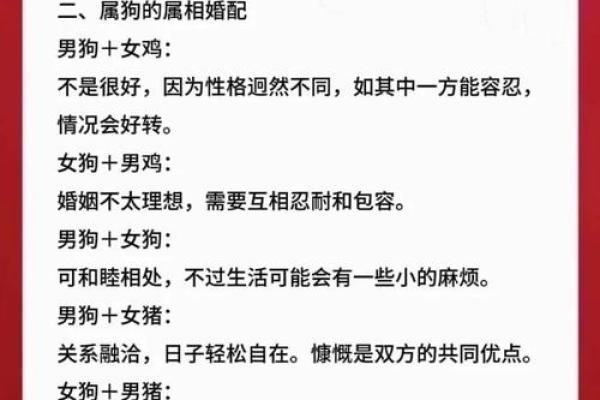 属狗的人和属牛的人在婚姻中是否相配，需要注意哪些方面？