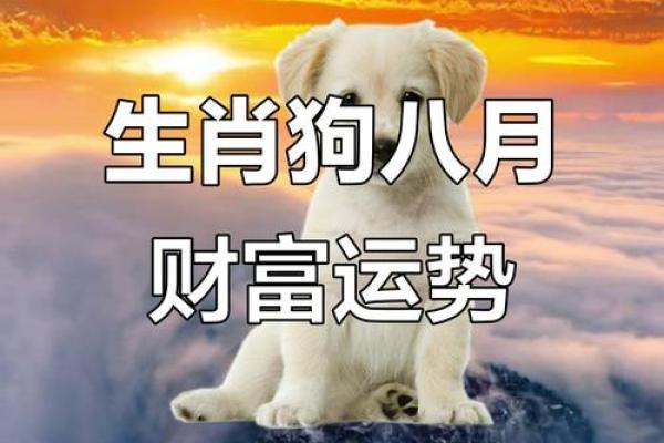 2025年属狗人的最佳财运方向解析，办公桌摆放有何讲究