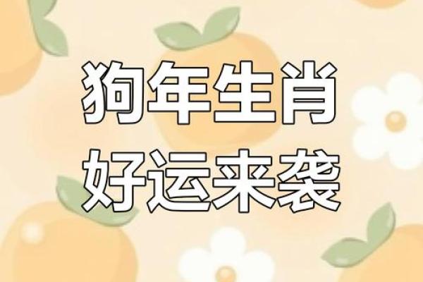 属狗人2025年全年运势详解及每月运程完整版最新分析