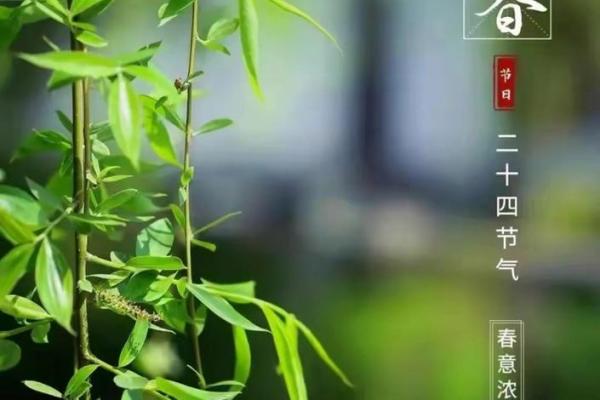 2019年立春具体是哪一天几点几分开始？