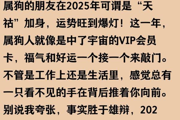 2025年属狗的人今年多少岁，不同年份出生年龄查询