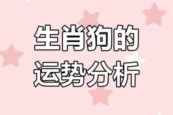 70年出生属狗者2025年运程大揭秘，每月运势走向及得把眼睛擦亮了完整版
