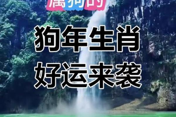 70年出生属狗者2025年运程大揭秘，每月运势走向及得把眼睛擦亮了完整版