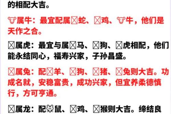2025年属狗人的正缘生肖配对，最佳婚配对象是谁