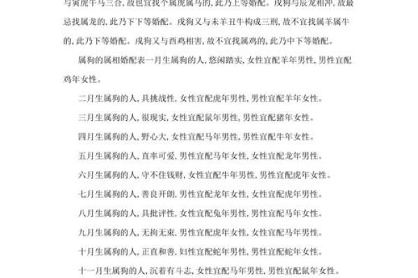 1982年属狗的人最难熬的是哪一年龄段具体分析