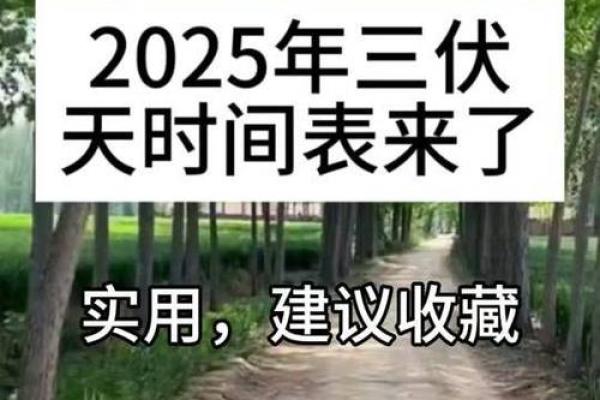 2021年入伏开始的具体时间点是上午还是下午?当天需要注意什么? 2021年入伏开始的具体时间点是上午还是下午?当天需要注意什么?