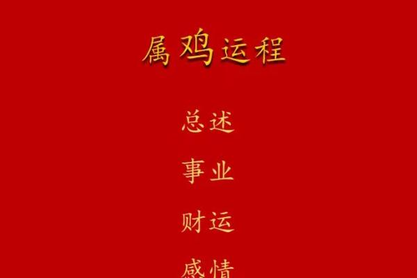 2005年属鸡的人到2024年年龄怎么计算，是哪年出生的？