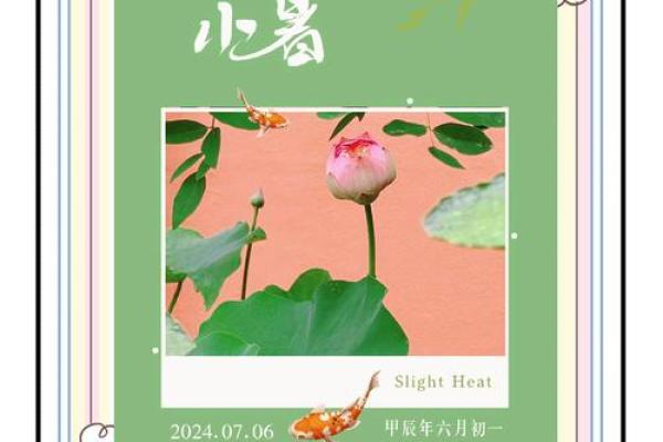 2020年小暑期间有哪些传统习俗和养生食谱推荐？
