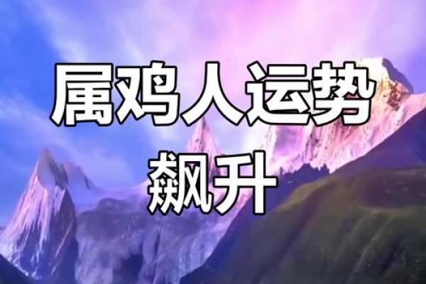 1981年属鸡女未来五年事业运势与财运详解 1981年属鸡女未来五年事业运势与财运详解