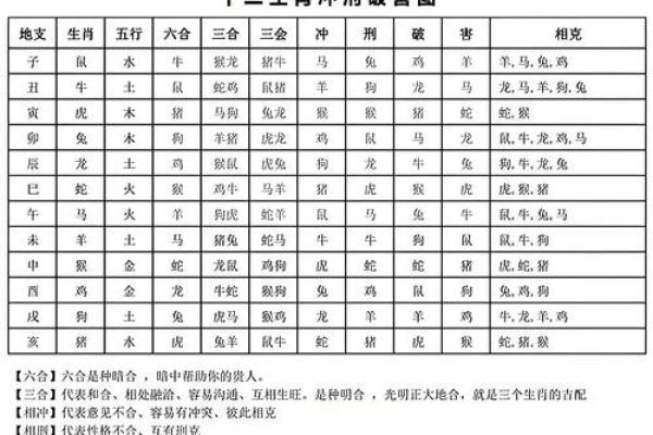 从生肖配对角度分析属鸡和属龙的婚姻是否幸福长久？