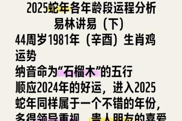 1993年出生属鸡者2025年幸运色和忌讳颜色有哪些
