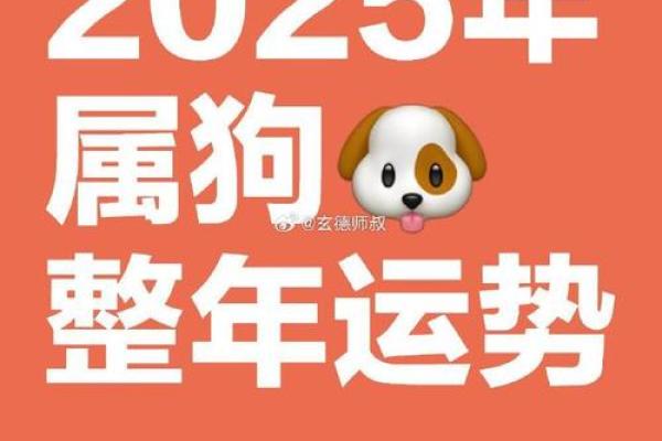 2025年属狗人全年运势详解1982年出生事业财运健康感情完整版