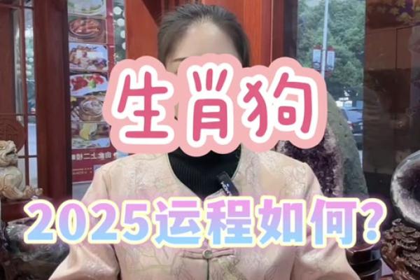1982年属狗人2025年运势详解及每月运程完整版分析