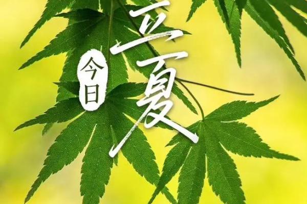 2021年立夏节气具体是几月几号几点几分开始？