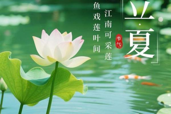 2021年立夏节气具体是几月几号几点几分开始？