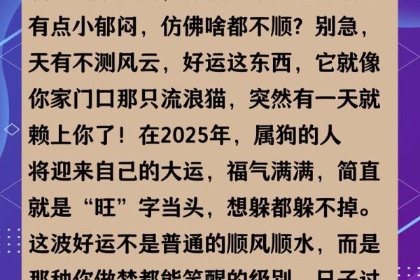 2025年属狗人的全年运势运程完整版财运健康感情事业分析