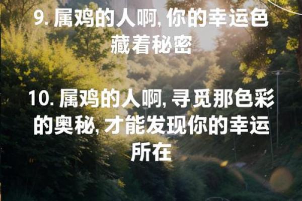 2025年属鸡人的幸运色和忌讳颜色分别有哪些讲究？