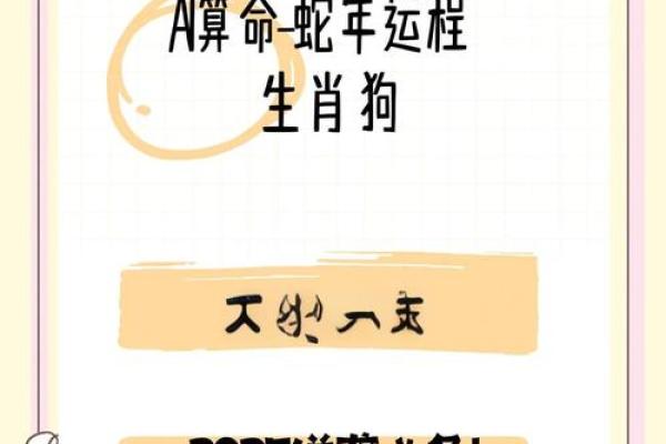 属狗的人2023年整体运势如何财运方面会有大的突破吗
