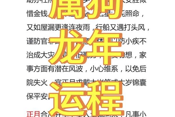 1982年属狗人2025年运势详解及每月运程完整版