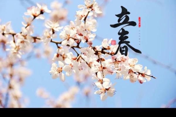 2020年立春具体是几月几号几点几分，需要精确时间