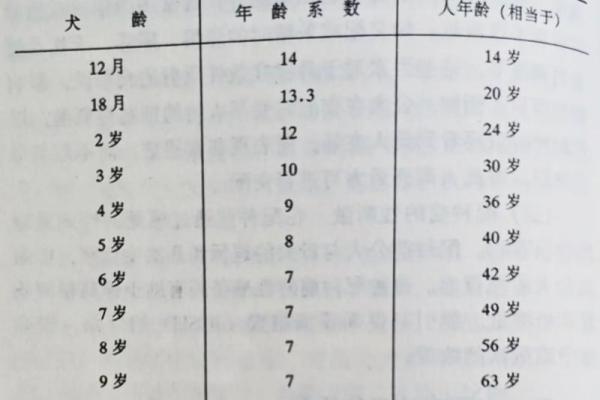 属狗的人在2025年实际年龄是多少岁不同年份出生对照表