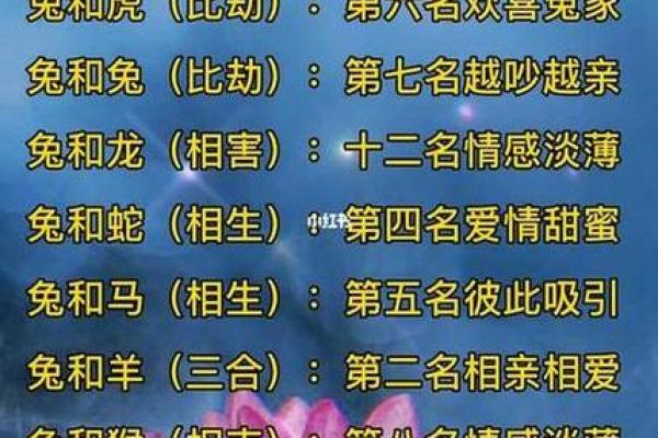 男属兔女属龙婚配是否相克？解析生肖配对中的关键要点