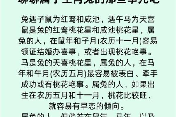 男属兔女属龙婚配是否相克？解析生肖配对中的关键要点