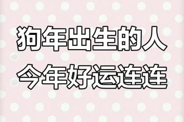 2025年属狗人运势如何？最新每月运程预测与得把眼睛擦亮了