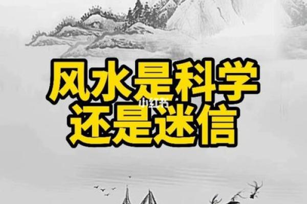 黑兔年在风水命理上象征什么?着一年适合做重大决策吗? 黑兔年在风水命理上象征什么?着一年适合做重大决策吗?