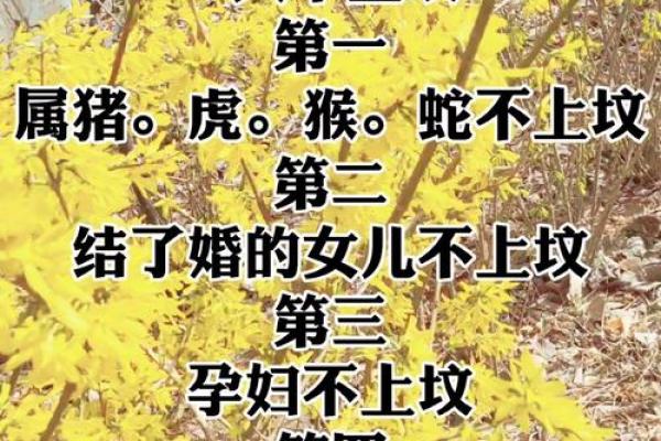 2023年清明节上坟最佳日期是哪几天，有什么讲究
