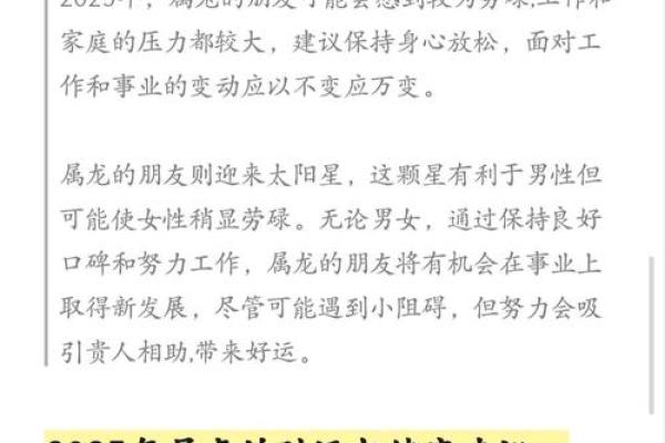 1981年出生的鸡2025年感情婚姻运势如何破解